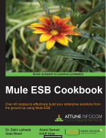 Mulesoft Cookbook.pdf